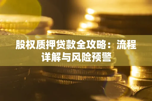 北京股权质押贷款全攻略：流程详解与风险预警