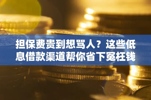北京担保费贵到想骂人？这些低息借款渠道帮你省下冤枉钱