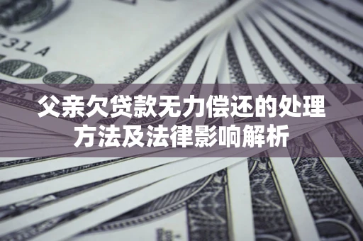 北京父亲欠贷款无力偿还的处理方法及法律影响解析