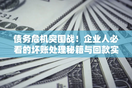 北京债务危机突围战！企业人必看的坏账处理秘籍与回款实战指南